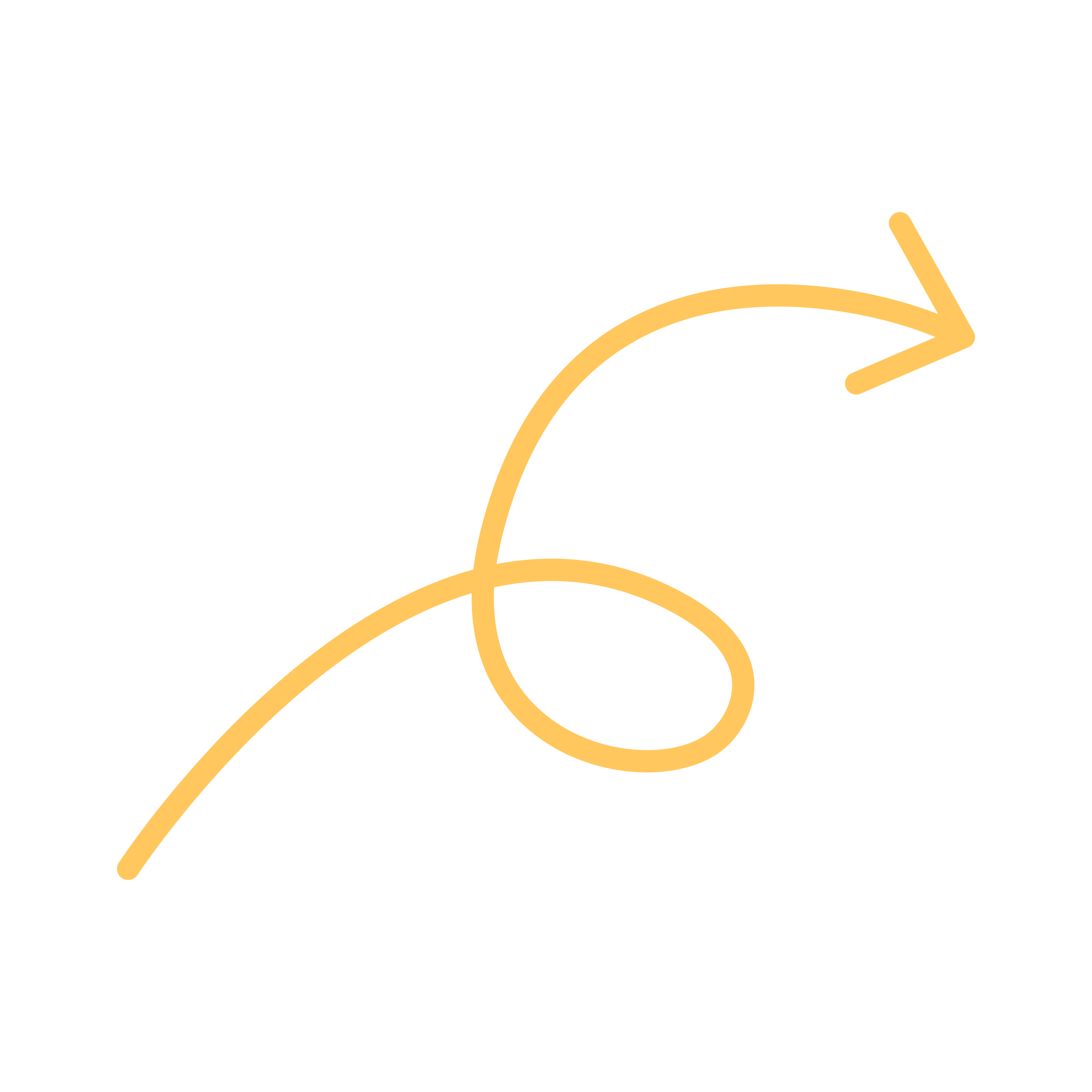 Decorative arrow