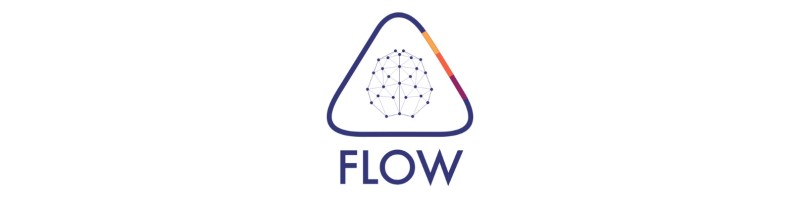 Logo FLOW - Équipe Performance